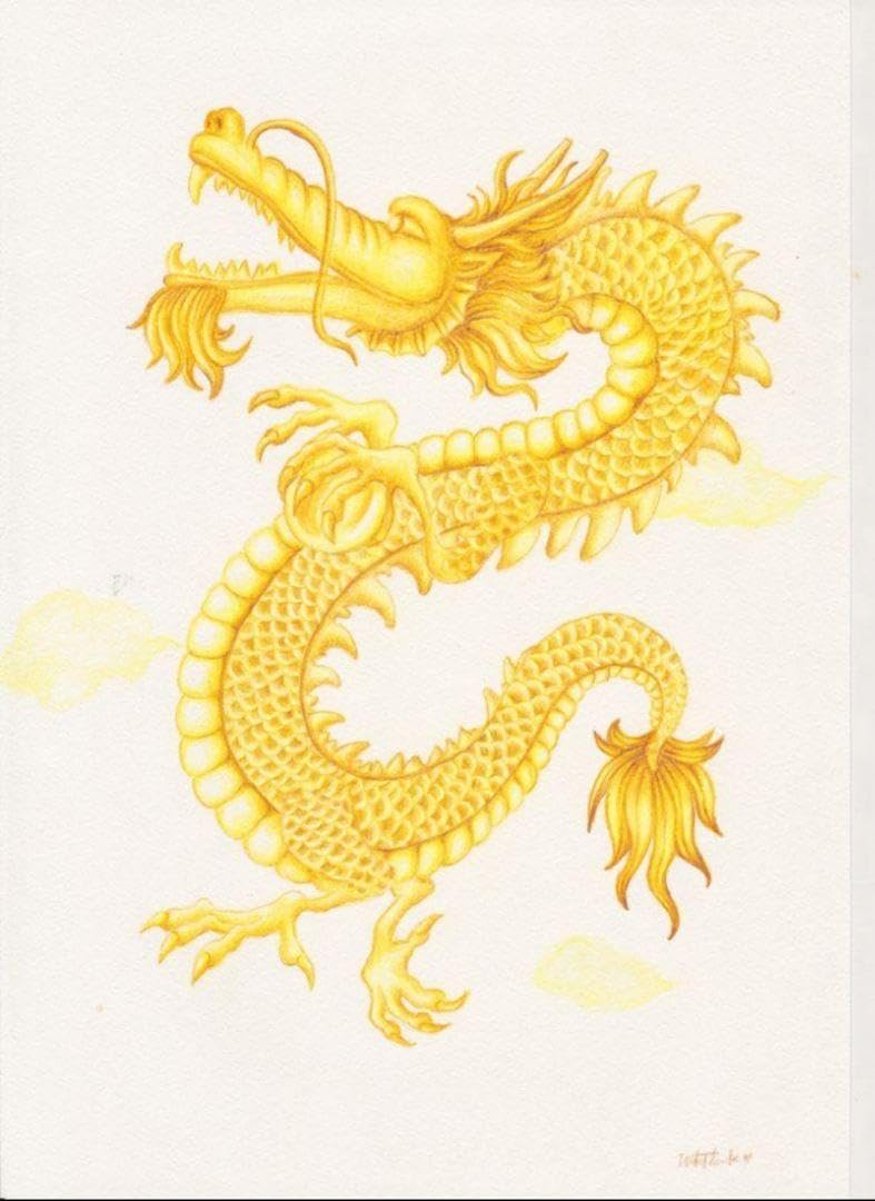 ⭐️金運上昇!黄金の総金張りの逸品！⭐️ハンマートリガーNo1846⭐️